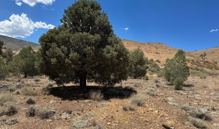 1400 Breccia Rd, Gardnerville, NV 89444 - 0 Beds, 0 Bath