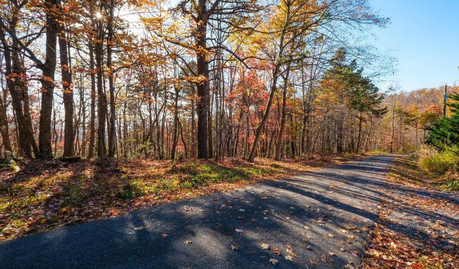 OLD STONY RIDGE RD lot 7, Afton, VA 22920 - 0 Beds, 0 Bath