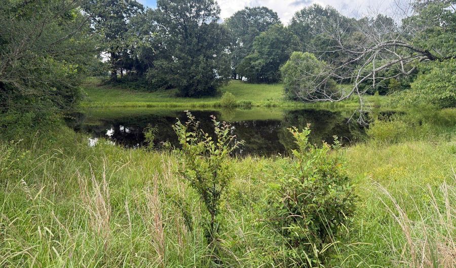 000 Perry Chapel Rd, Ashland, MS 38603 - 0 Beds, 0 Bath