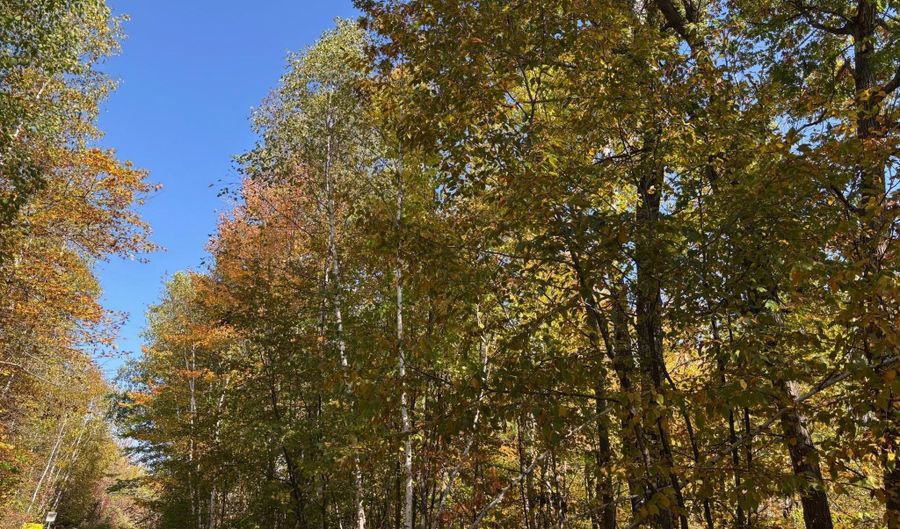 County Road 12, Akeley, MN 56433 - 0 Beds, 0 Bath
