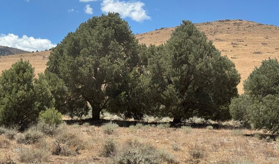 1400 Breccia Rd, Gardnerville, NV 89444 - 0 Beds, 0 Bath
