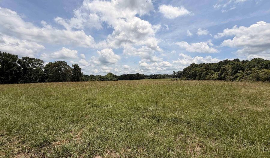 Swinging Bridge Road, Beebe, AR 72012 - 0 Beds, 0 Bath