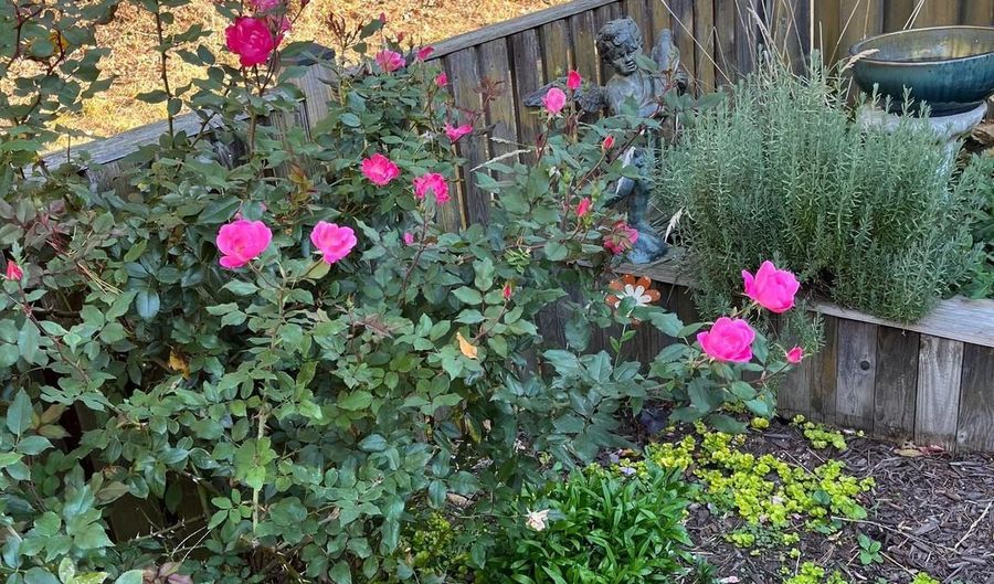 1943 MARCONI Cir, Annapolis, MD 21401 - 2 Beds, 2 Bath