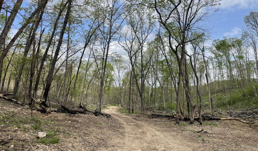 State Hwy N Tract G, Ava, MO 65608 - 0 Beds, 0 Bath