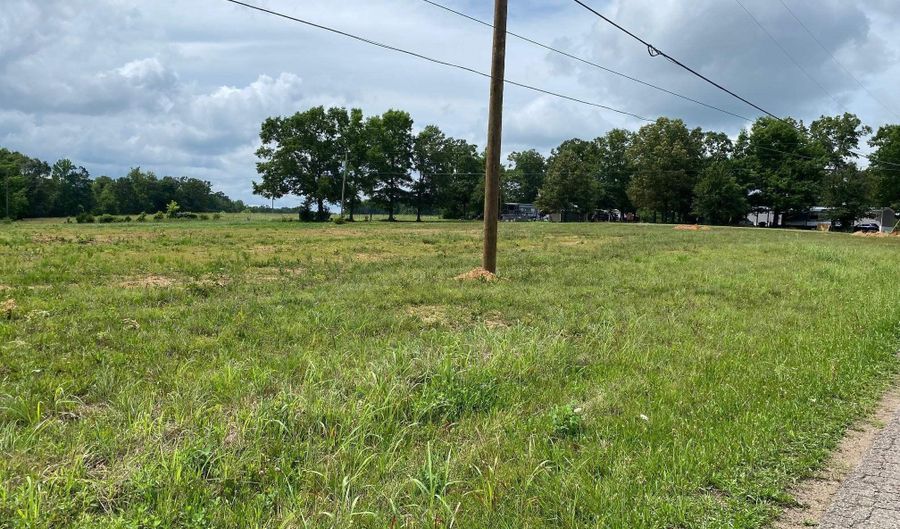OLD MORRIS CHAPEL Rd, Adamsville, TN 38310 - 0 Beds, 0 Bath