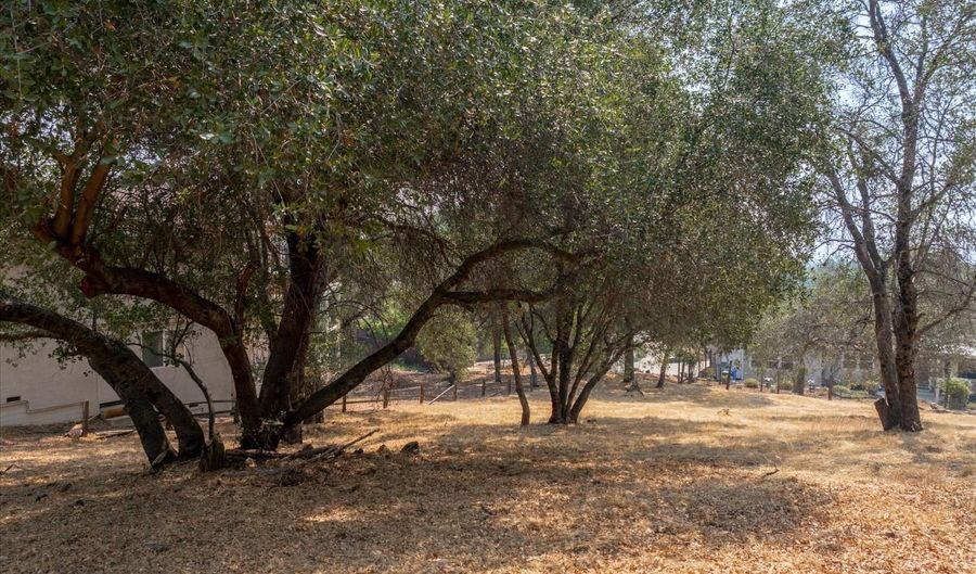 736 Live Oak, Angels Camp, CA 95222 - 0 Beds, 0 Bath