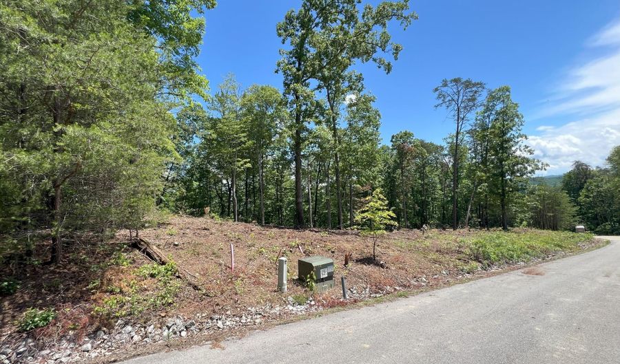 Lot 44 Bayside Boulevard, Bean Station, TN 37708 - 0 Beds, 0 Bath