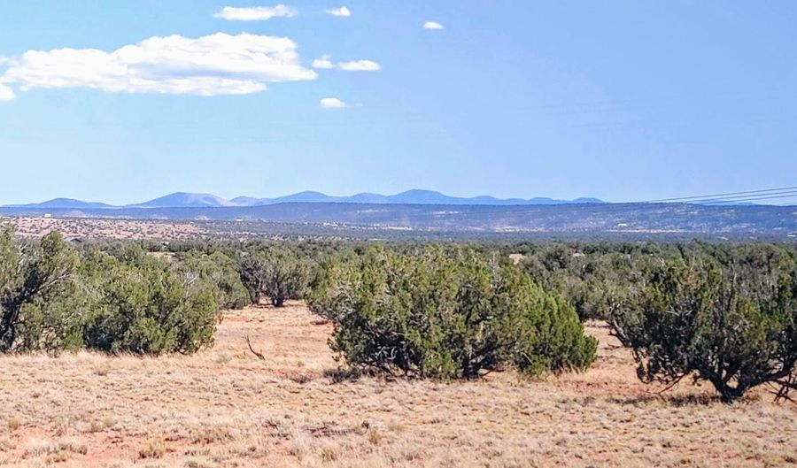 Lot 44 Ranch Of The White Mountains N9119, Concho, AZ 85924 - 0 Beds, 0 Bath