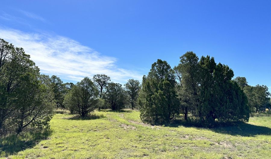 Ute Court lot 9, Alto, NM 88312 - 0 Beds, 0 Bath