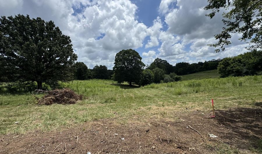 Tract 1 County Road 656, Anderson, AL 35610 - 0 Beds, 0 Bath