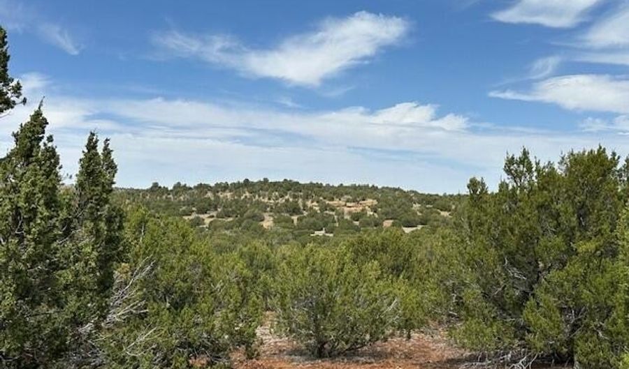44 County Road 3048, Concho, AZ 85924 - 0 Beds, 0 Bath