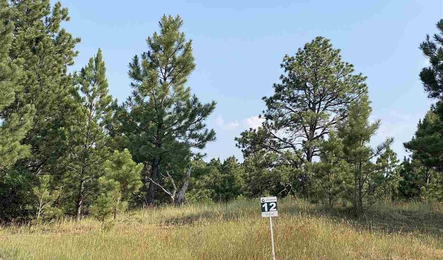 tbd lot 12 Other, Whitewood, SD 57793 - 0 Beds, 0 Bath