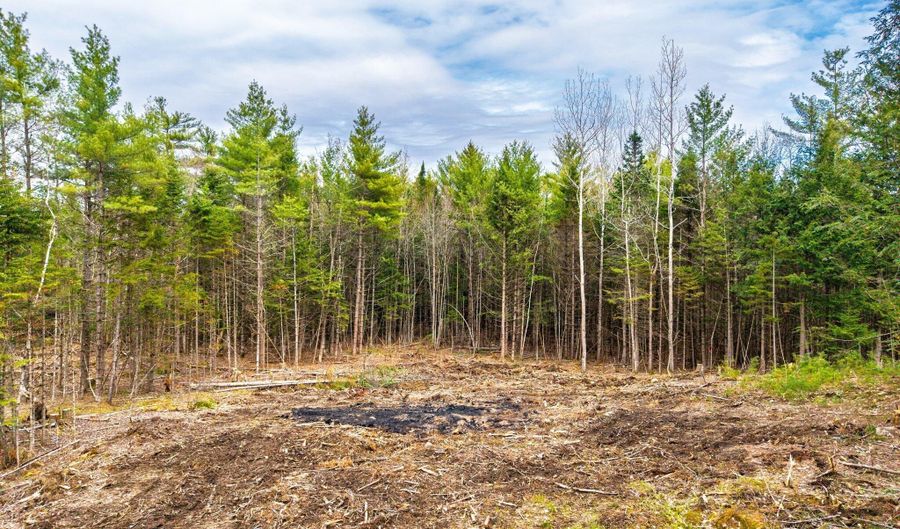 3 Forest Dr, Albany Twp., ME 04217 - 4 Beds, 0 Bath