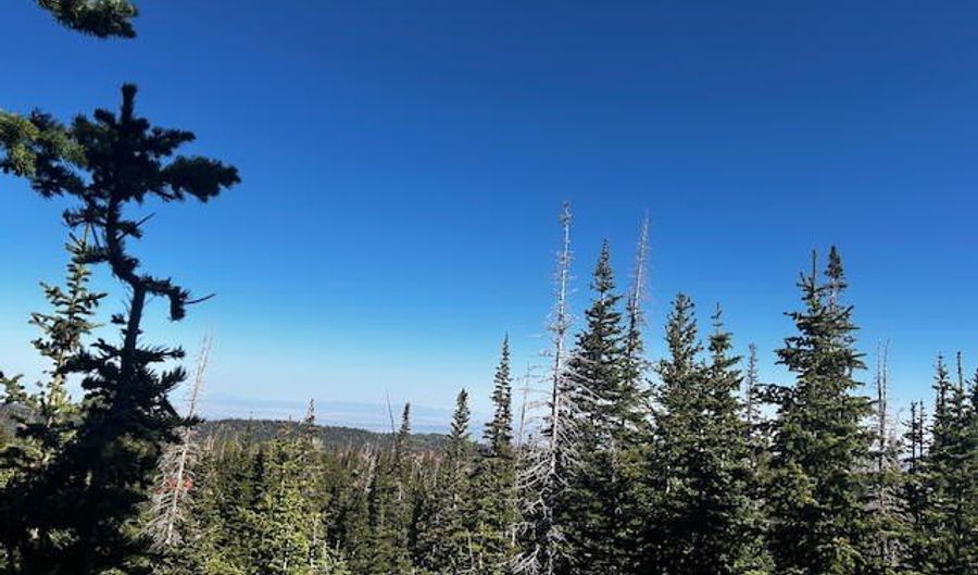 115 S Olympic Dr, Brian Head, UT 84719 - 0 Beds, 0 Bath