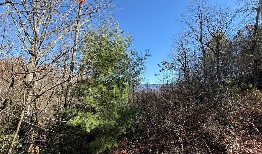 00 Sky Harbour Trce, Andrews, NC 28901 - 0 Beds, 0 Bath