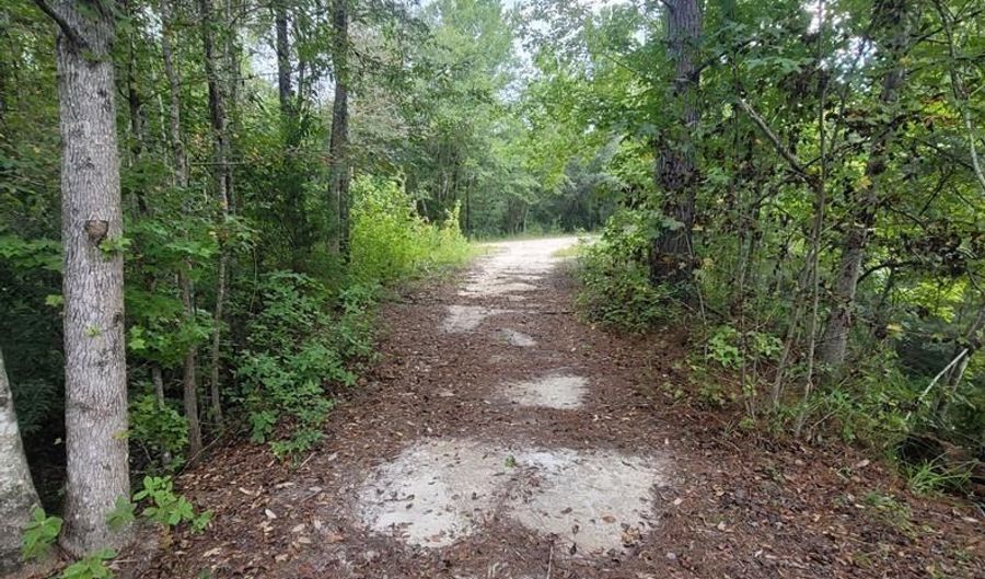 00 Coot Adams Rd, Ashford, AL 36312 - 0 Beds, 0 Bath