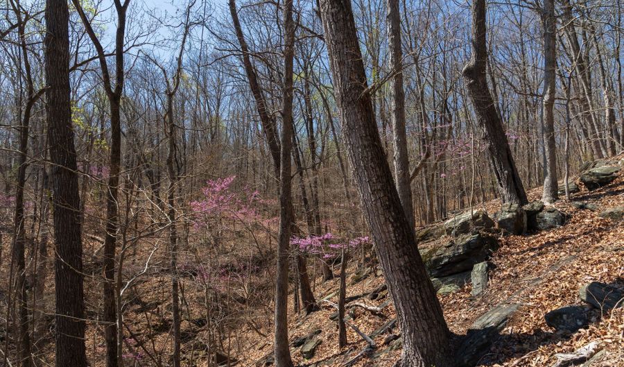 Soapstone Road, Baldwin, GA 30511 - 0 Beds, 0 Bath