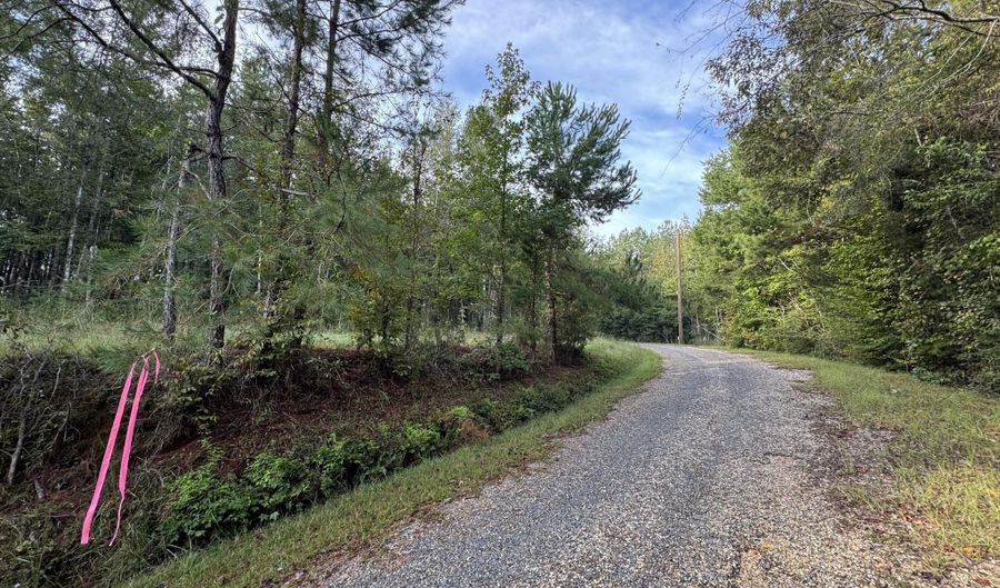 741 SE Hughs Hill Ln, Brookhaven, MS 39601 - 0 Beds, 0 Bath