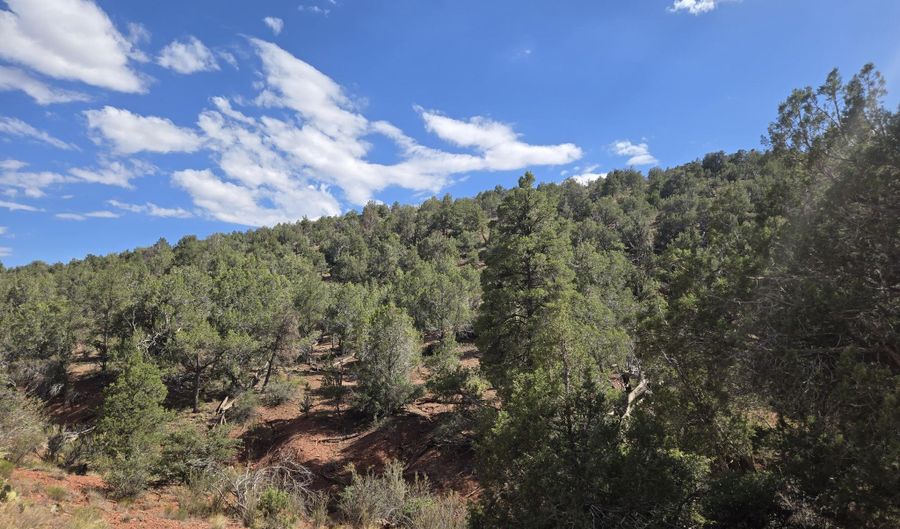444 445 S Arizona Rd, Ash Fork, AZ 86320 - 0 Beds, 0 Bath