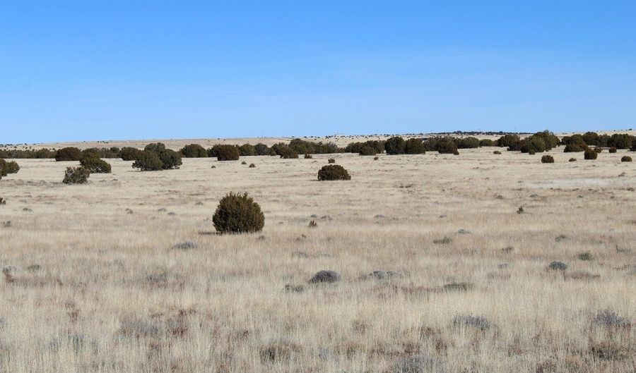 13 County Road 8006, Concho, AZ 85924 - 0 Beds, 0 Bath