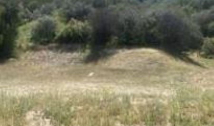 Mint Canyon # 1, Agua Dulce, CA 91350 - 0 Beds, 0 Bath