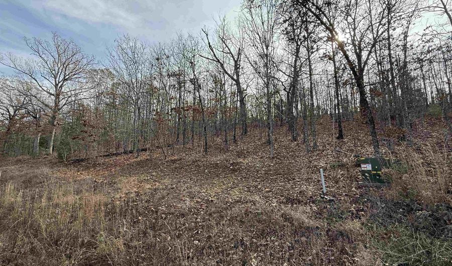 Tract 91 Vernon Court Road, Austin, AR 72007 - 0 Beds, 0 Bath