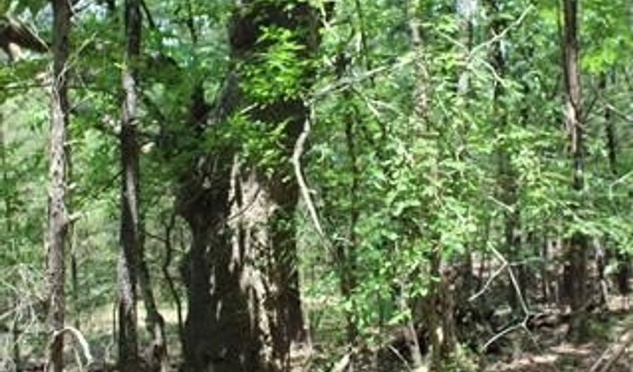 5 E 1909 Rd, Antlers, OK 74523 - 0 Beds, 0 Bath
