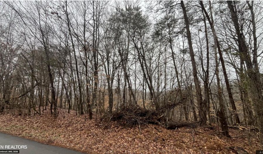 Mountain View Lane Lot # 1100, Baneberry, TN 37890 - 0 Beds, 0 Bath