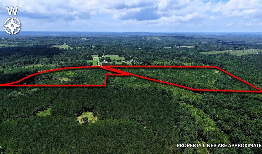 County Road 53, Banks, AL 36005 - 0 Beds, 0 Bath