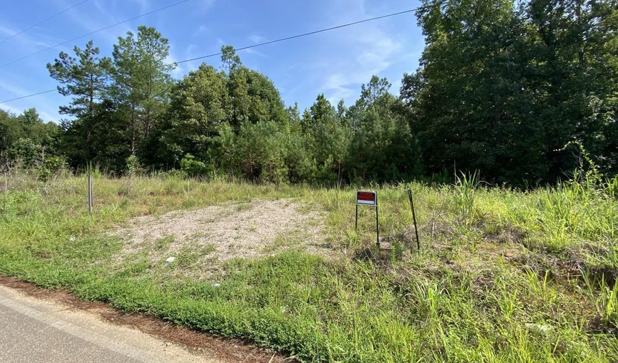1258 Otis Paine Rd, Bethel Springs, TN 38315 - 0 Beds, 0 Bath