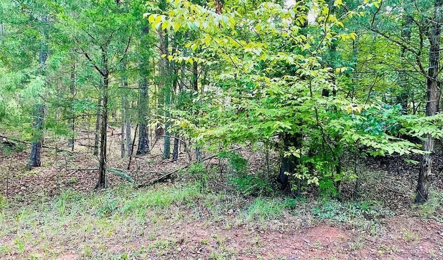 00 Lake Forest Dr, Abbeville, SC 29620 - 0 Beds, 0 Bath