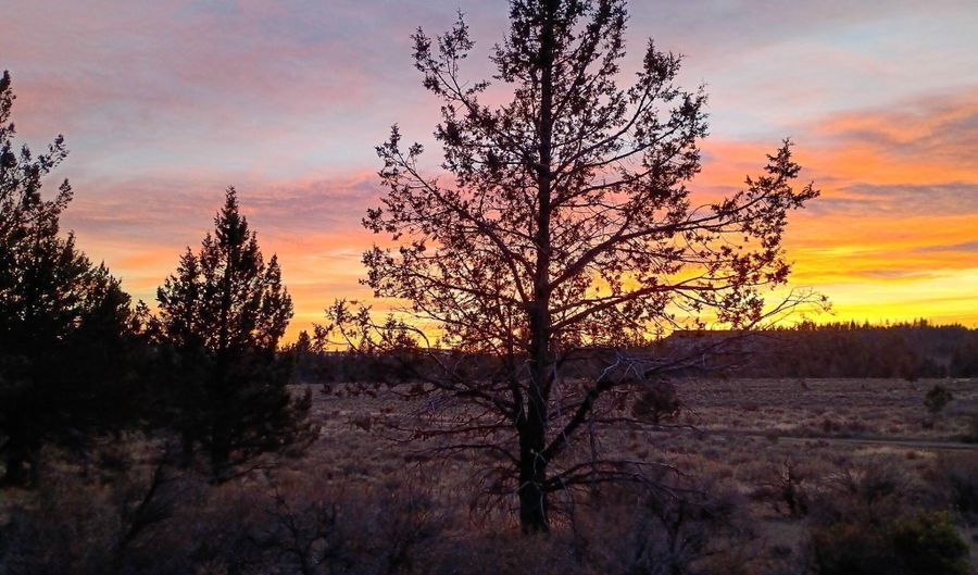 Cathy Way lot 21-23, Beatty, OR 97621 - 0 Beds, 0 Bath