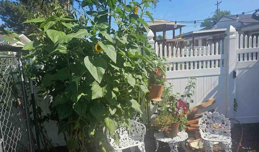 928 BLACK HILLS Ave, Alliance, NE 69301 - 4 Beds, 3 Bath