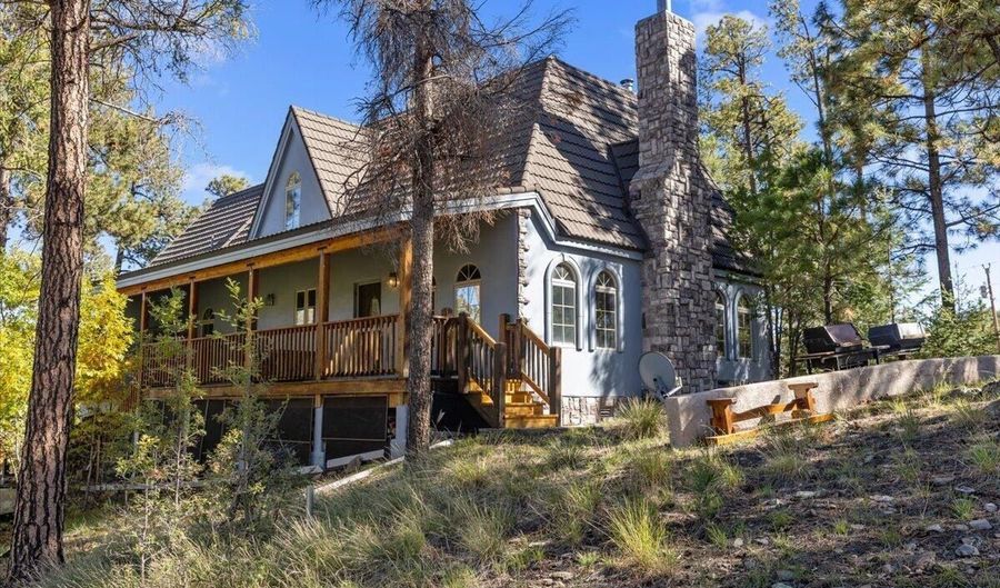 12 County Rd 2074, Alpine, AZ 85920 - 4 Beds, 3 Bath