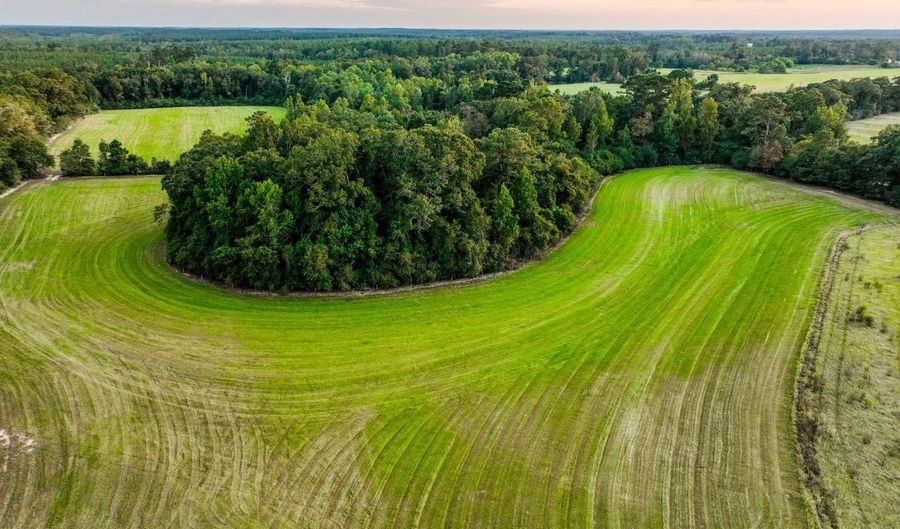 100 Acres Harmony Church Rd, Andalusia, AL 36421 - 0 Beds, 0 Bath