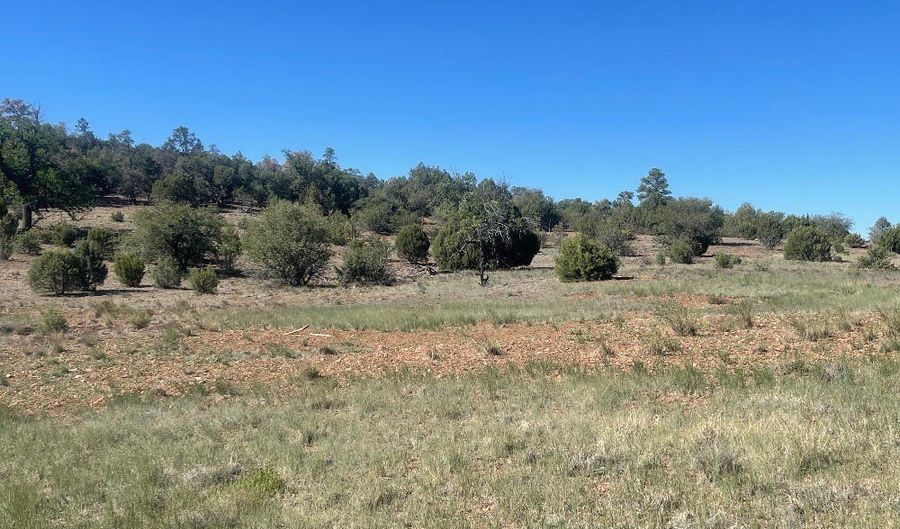 1751 Forest Service Rd 163, Clay Springs, AZ 85923 - 0 Beds, 0 Bath