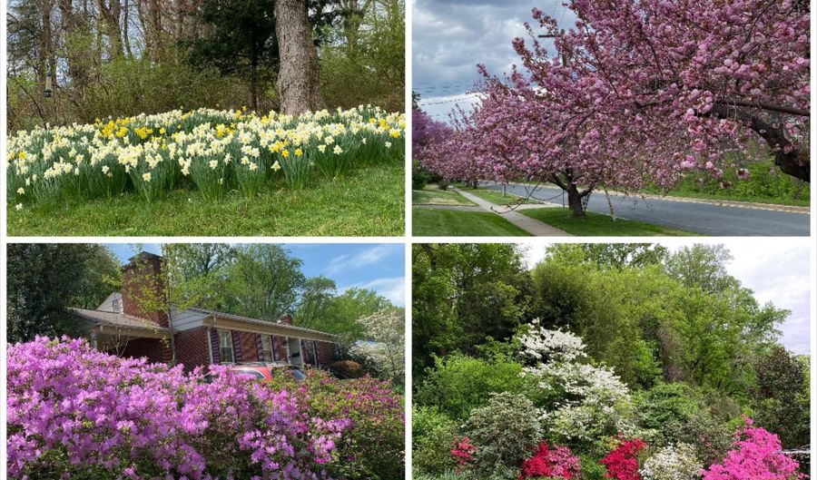 8200 BEECH TREE Rd, Bethesda, MD 20817 - 3 Beds, 3 Bath