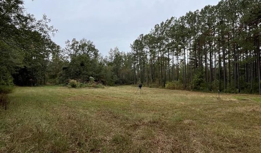 0 County Road 79 S, Baker Hill, AL 36027 - 0 Beds, 0 Bath