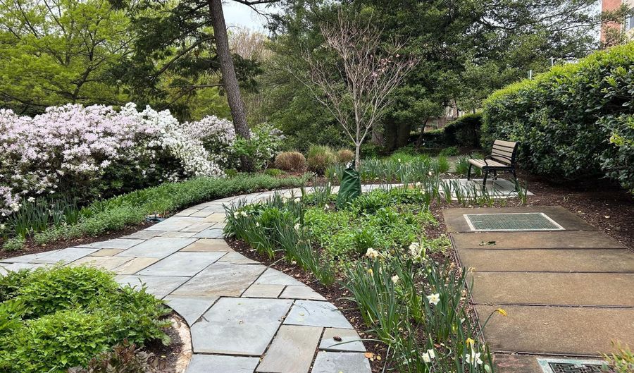 4301 MASSACHUSETTS Ave NW 7001, Washington, DC 20016 - 0 Beds, 1 Bath