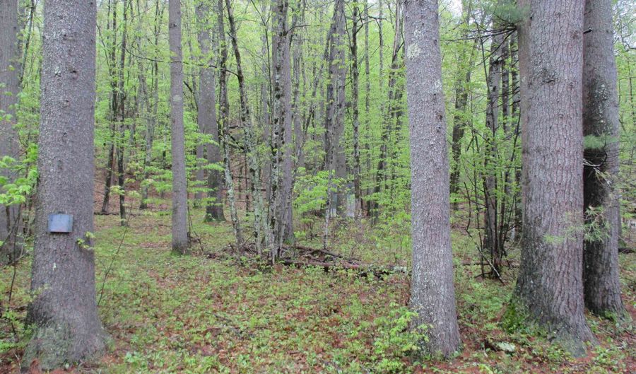 72 Brewster Rd, Barrington, NH 03825 - 0 Beds, 0 Bath