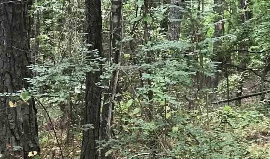 S LAKESIDE LANE lot 20, Alpine, AL 35014 - 0 Beds, 0 Bath