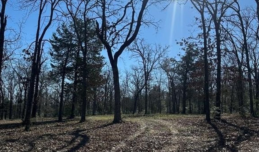 350 FCR 640, Teague, TX 75860 - 0 Beds, 0 Bath