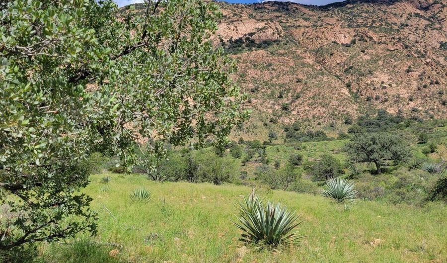 Tbd Hannon Ranch Lane 110-51-013-B9, Bisbee, AZ 85603 - 0 Beds, 0 Bath