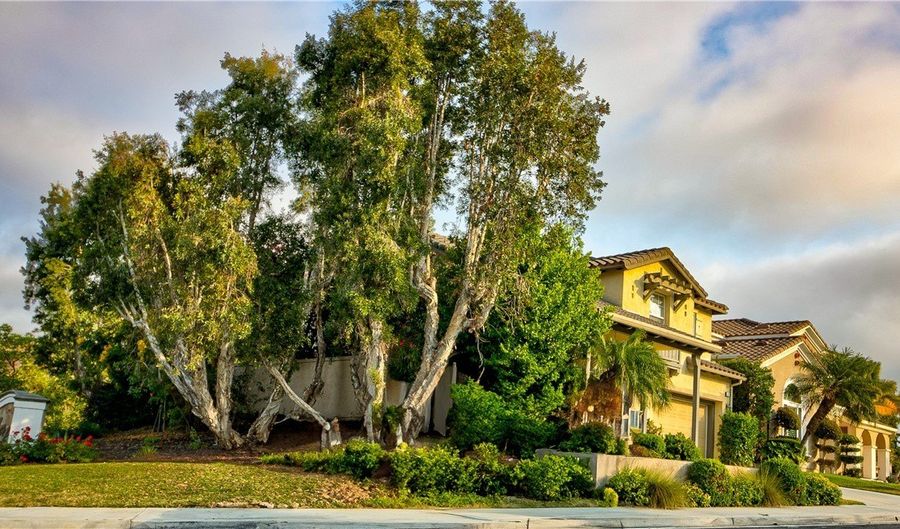 6 Avenida Fortuna, San Clemente, CA 92673 - 3 Beds, 3 Bath
