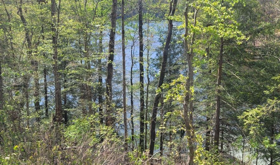 458 CO RD 4036, Arley, AL 35541 - 0 Beds, 0 Bath