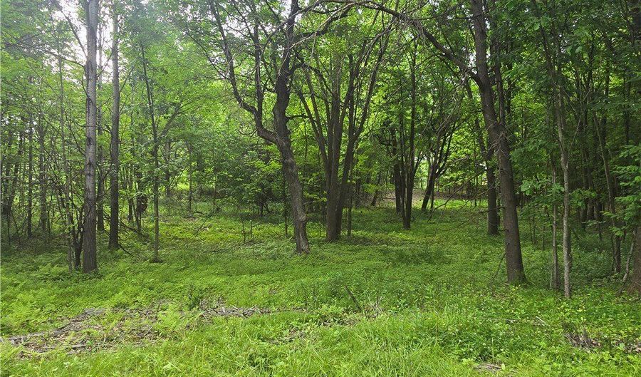 Xxx 120th Avenue, Amery, WI 54001 - 0 Beds, 0 Bath