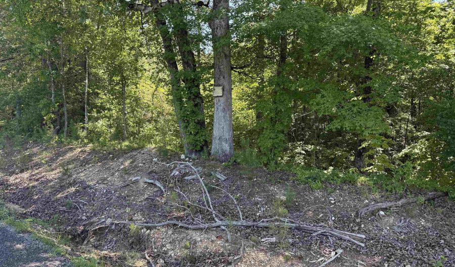 MURDOCK ROAD lot 0, Attalla, AL 35954 - 0 Beds, 0 Bath