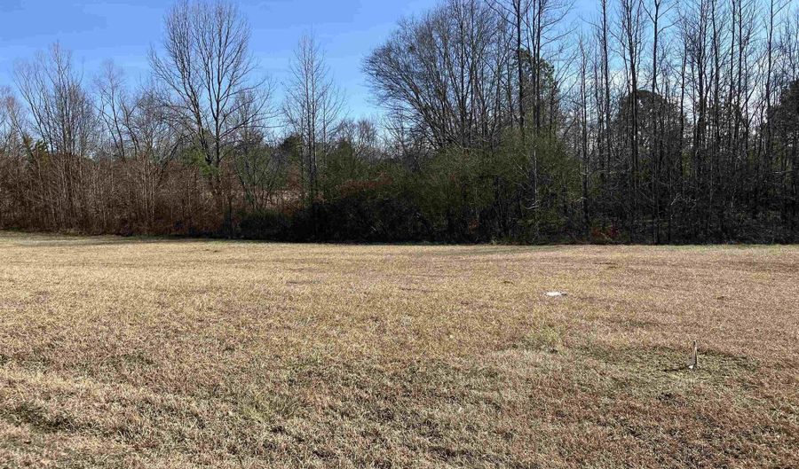 0 WILSON CHAPEL Rd 3, Altoona, AL 35952 - 0 Beds, 0 Bath