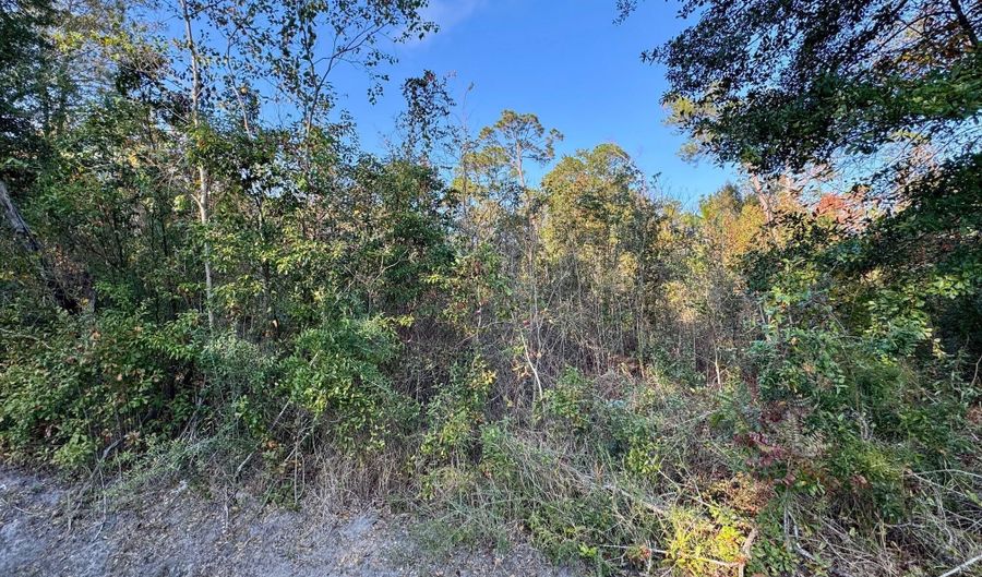 Sycamore Street, Bay St. Louis, MS 39520 - 0 Beds, 0 Bath