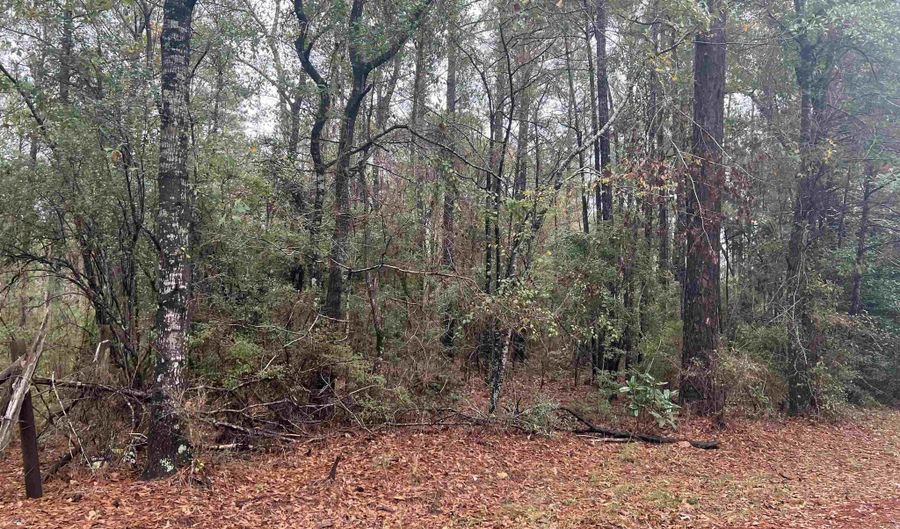 68000 Block Scranage Rd, Atmore, AL 36502 - 0 Beds, 0 Bath